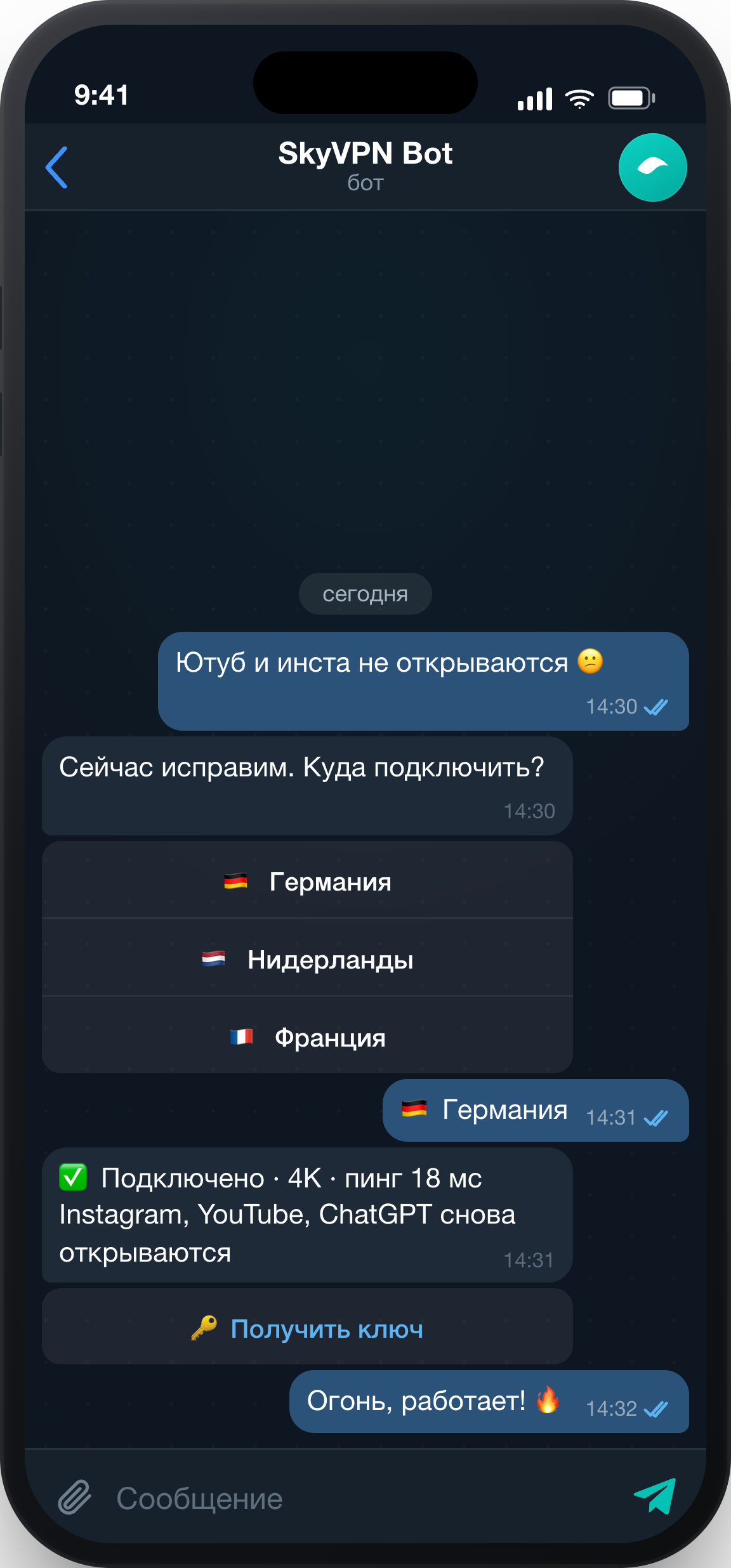 Чат с ботом SkyVPN в Telegram — VPN подключается за 30 секунд